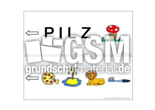 Pilz.pdf